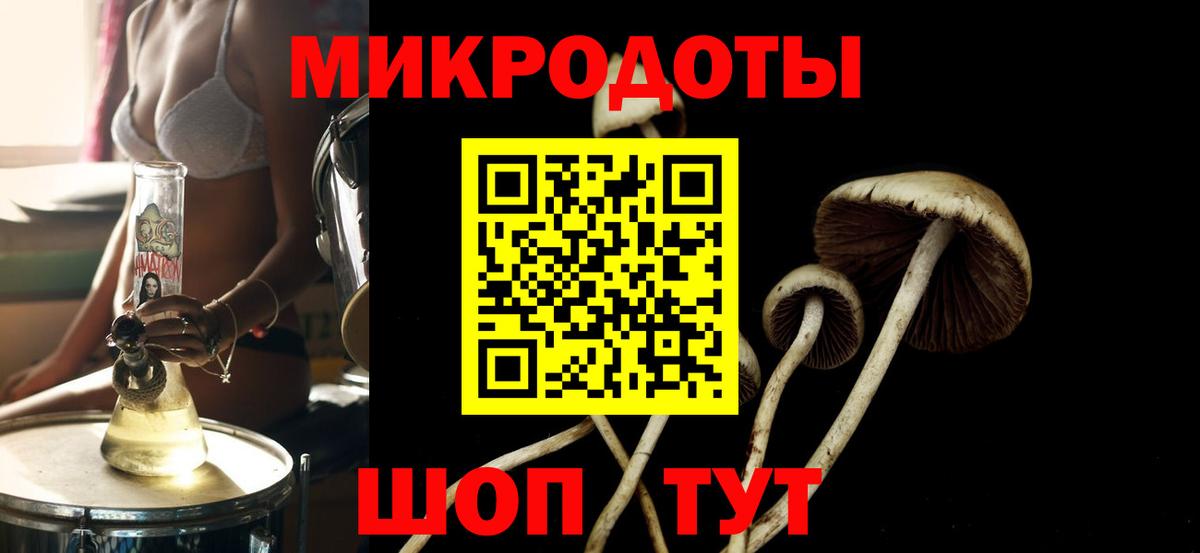 Галлюциногенные грибы Cubensis  Галлюциногенные грибы мицелий  Новосибирск  Вход с VPN 